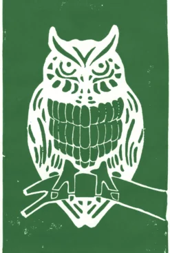 Farba Aqua Linoprint - Schmincke - 530, Chromium Oxide Green Hue, 35 ml