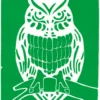 Farba Aqua Linoprint - Schmincke - 520, Permanent Green, 35 ml