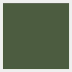 Farba gwasz Gouache Extra Fine - Talens - Olive Green, 50 ml