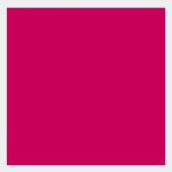 Farba gwasz Gouache Extra Fine - Talens - Rose, 50 ml