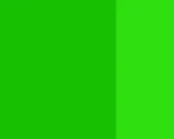 Farba gwasz Linel - Lefranc & Bourgeois - Brilliant Green 14 ml