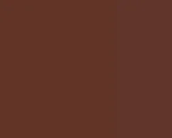 Farba gwasz Linel - Lefranc & Bourgeois - Burnt Umber 14 ml
