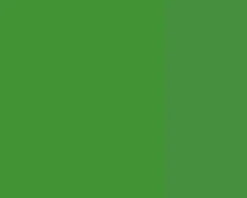 Farba gwasz Linel - Lefranc & Bourgeois - Chrome Oxyde Green 14 ml