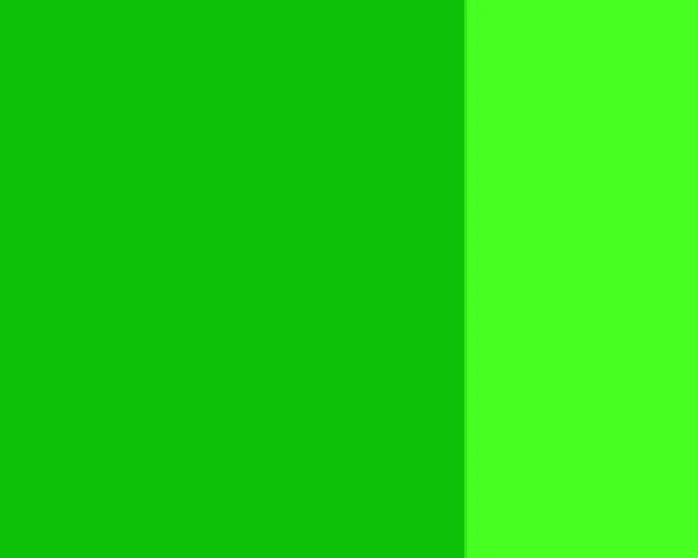 Farba gwasz Linel - Lefranc & Bourgeois - Field Green 14 ml