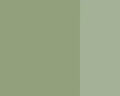 Farba gwasz Linel - Lefranc & Bourgeois - Lichen Grey 14 ml