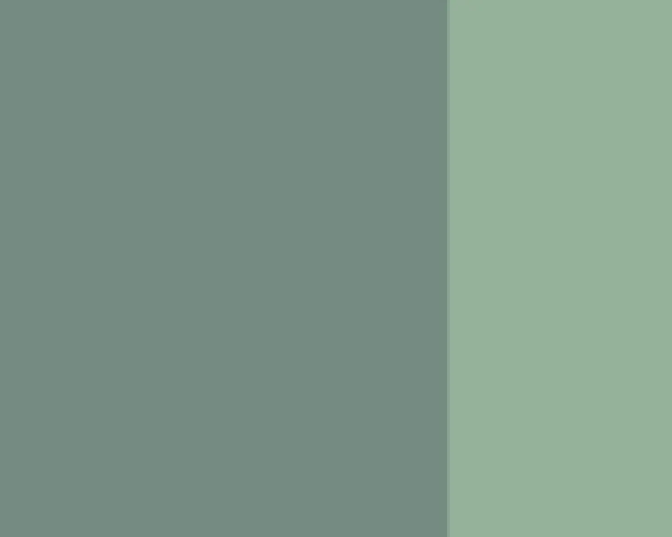Farba gwasz Linel - Lefranc & Bourgeois - Neutral Grey 14 ml