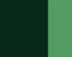 Farba gwasz Linel - Lefranc & Bourgeois - Olive Green 14 ml
