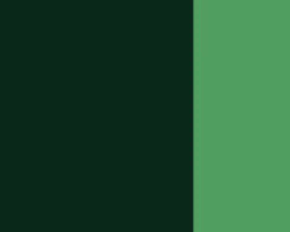 Farba gwasz Linel - Lefranc & Bourgeois - Olive Green 14 ml