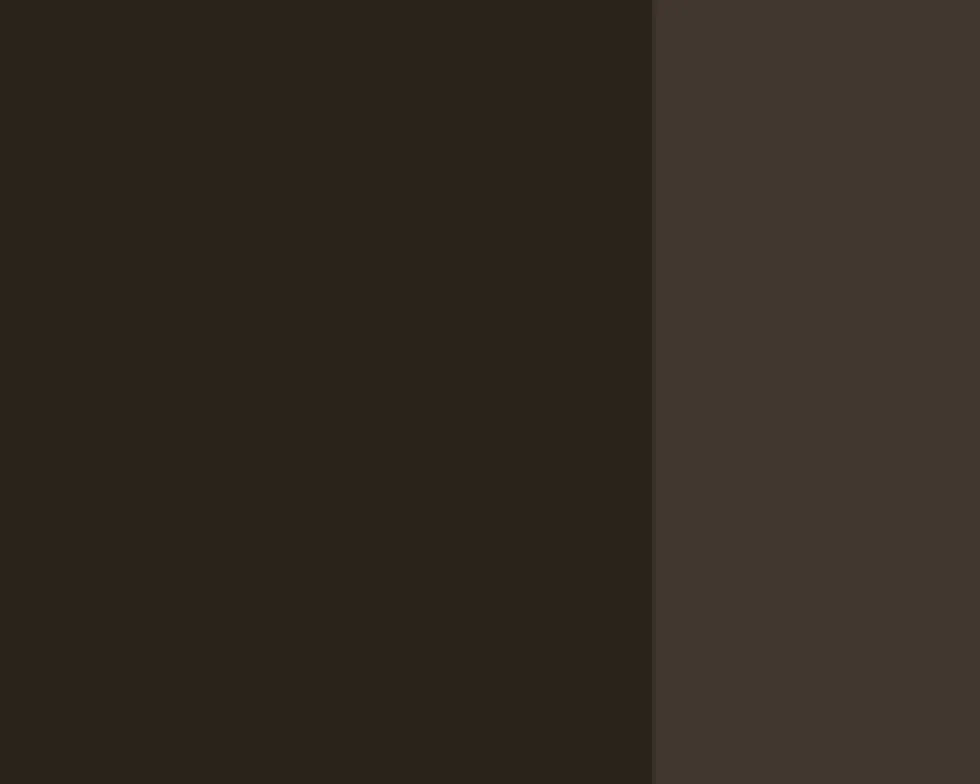 Farba gwasz Linel - Lefranc & Bourgeois - Raw Umber 14 ml