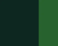 Farba gwasz Linel - Lefranc & Bourgeois - Sap Green 14 ml