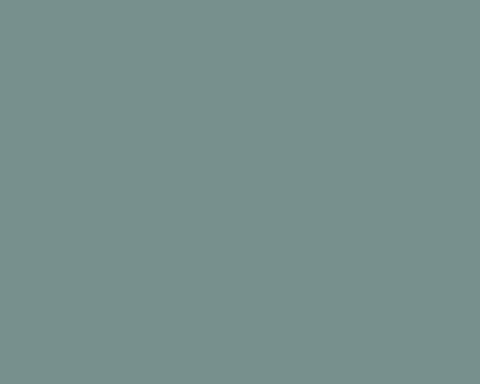 Farba gwasz Linel - Lefranc & Bourgeois - Silver 14 ml