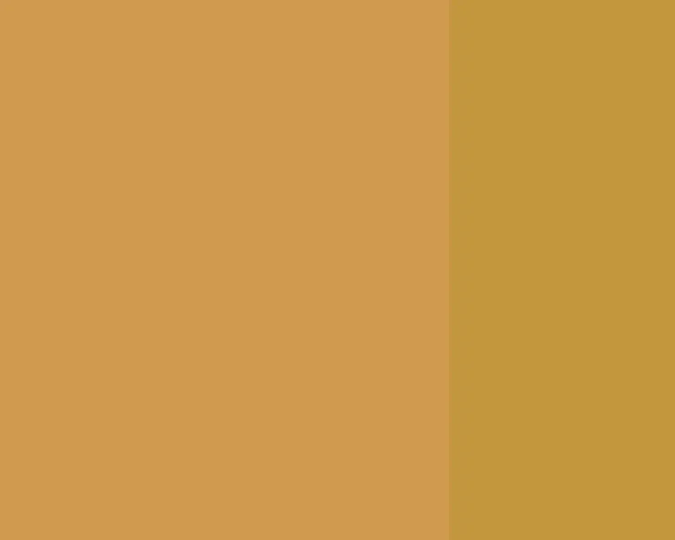 Farba gwasz Linel - Lefranc & Bourgeois - Yellow Ochre 14 ml