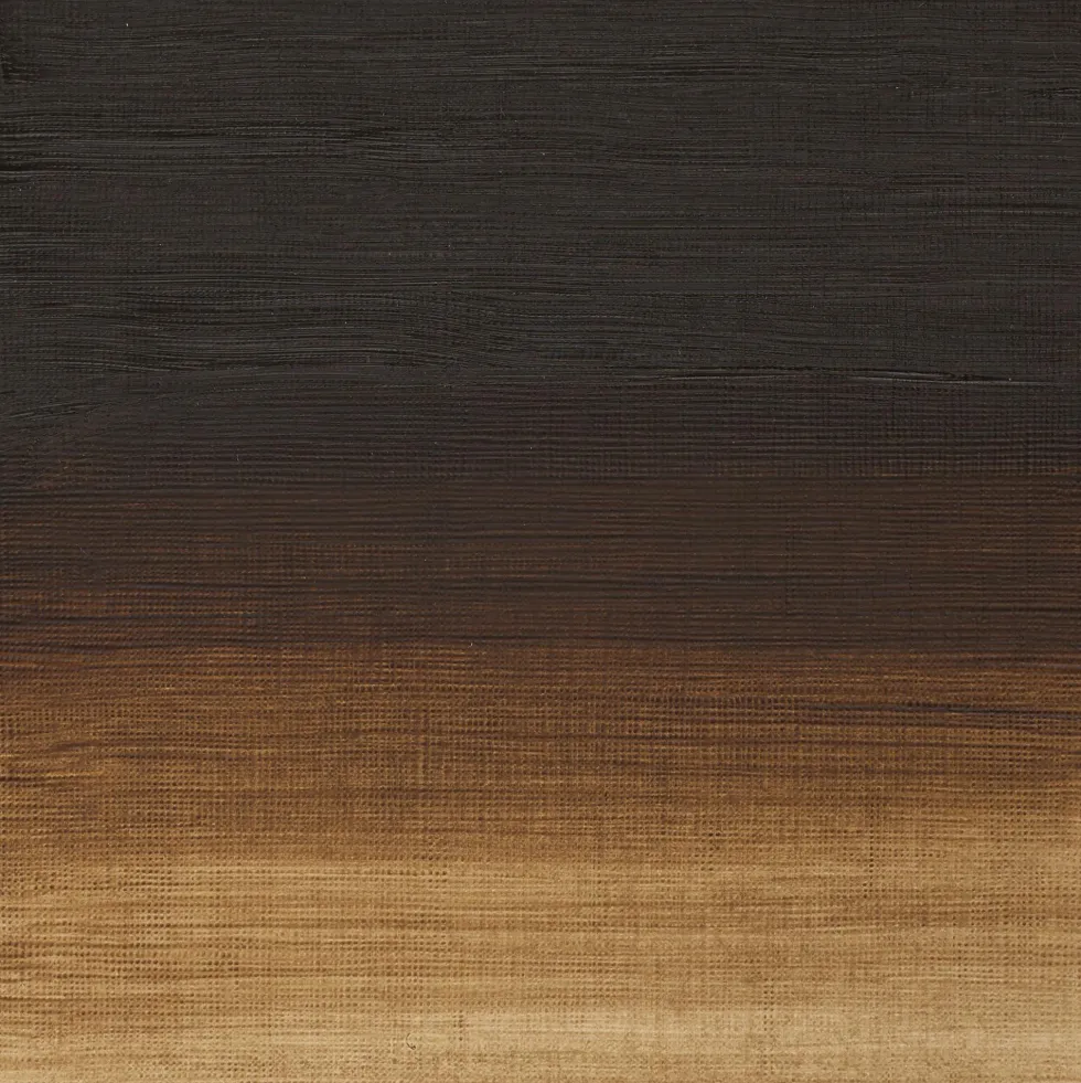 Farba olejna Artists' Oil Colour - Winsor & Newton - Raw Umber 200 ml
