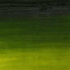 Farba olejna Artists' Oil Colour - Winsor & Newton - Sap Green, 37 ml