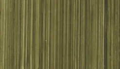 Farba olejna - Michael Harding - 132, Italian Green Umber, 40 ml