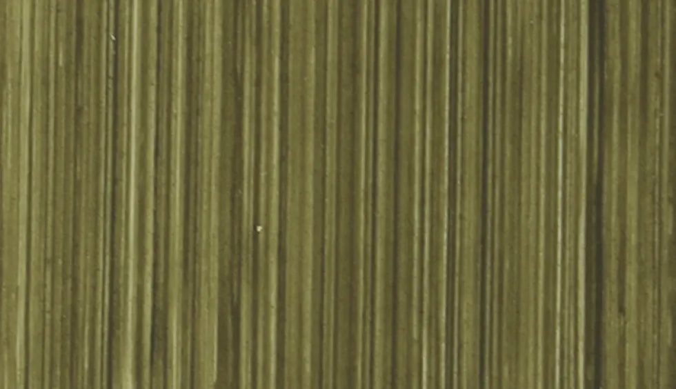 Farba olejna - Michael Harding - 132, Italian Green Umber, 40 ml