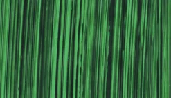 Farba olejna - Michael Harding - 214, Phthalo Green Yellow Shade, 40 ml