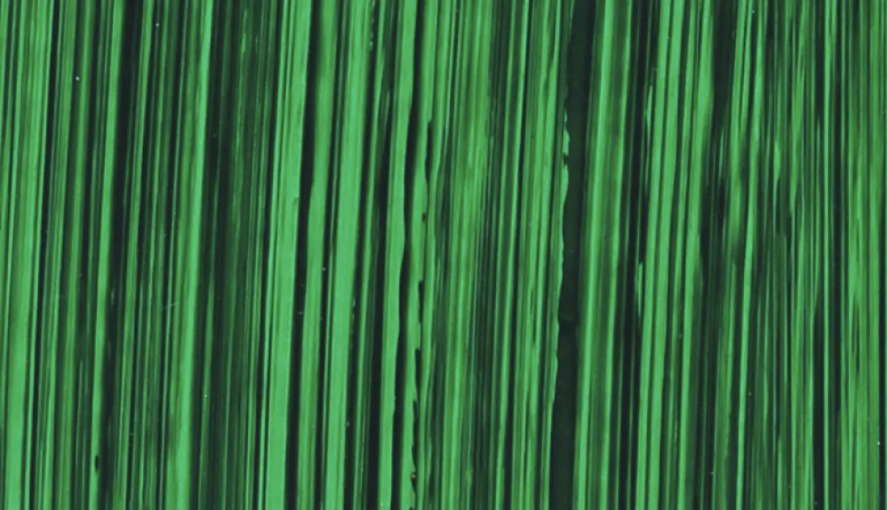 Farba olejna - Michael Harding - 214, Phthalo Green Yellow Shade, 40 ml