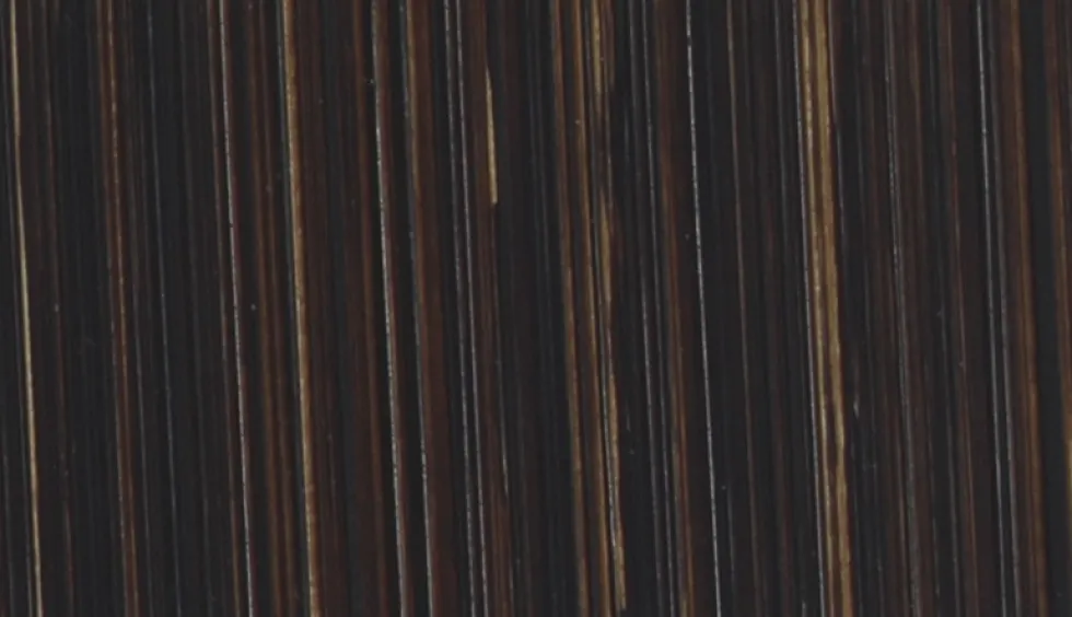 Farba olejna - Michael Harding - 121, Raw Umber, 40 ml