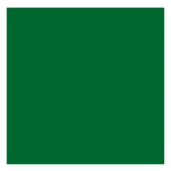 Farba olejna - Rembrandt - Permanent Green Deep, 40 ml