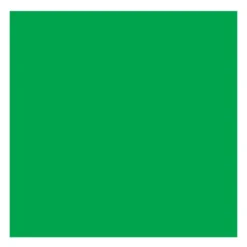 Farba olejna - Rembrandt - Permanent Green Medium, 40 ml