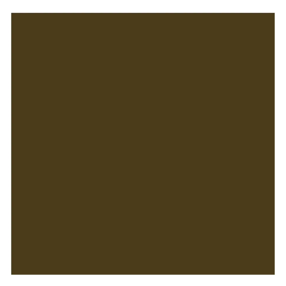 Farba olejna - Rembrandt - Raw Umber, 40 ml