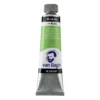 Farba olejna - Van Gogh - Permanent Green Medium, 40 ml
