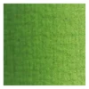 Farba olejna - Van Gogh - Sap Green, 200 ml