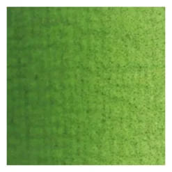 Farba olejna - Van Gogh - Sap Green, 40 ml