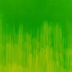 Farba olejna Winton Oil Colour - Winsor & Newton - Phthalo Yellow Green, 37 ml