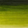 Farba olejna Winton Oil Colour - Winsor & Newton - sap green, 200 ml