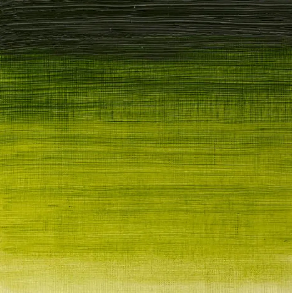 Farba olejna Winton Oil Colour - Winsor & Newton - sap green, 200 ml