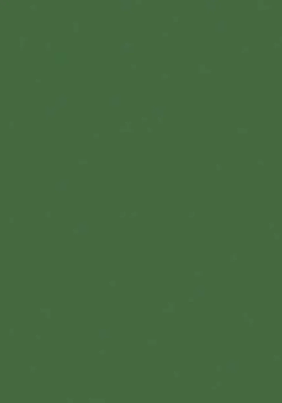 Filc ozdobny - Knorr Prandell - fir green, 20 x 30 cm