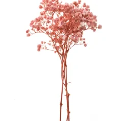 Gałązki gipsówki - DpCraft - light pink 15-20 cm 4 szt.