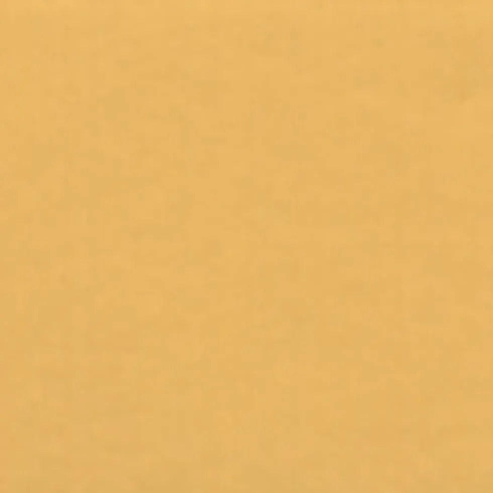 Gwasz Artists’ Gouache - Holbein - Naples Yellow Italian, 15 ml