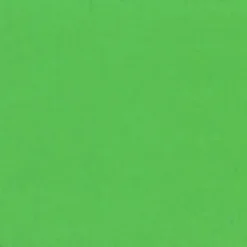 Gwasz Artists’ Gouache - Holbein - Permanent Green Light, 15 ml