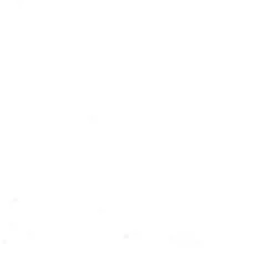 Gwasz Artists’ Gouache - Holbein - Zinc White, 60 ml