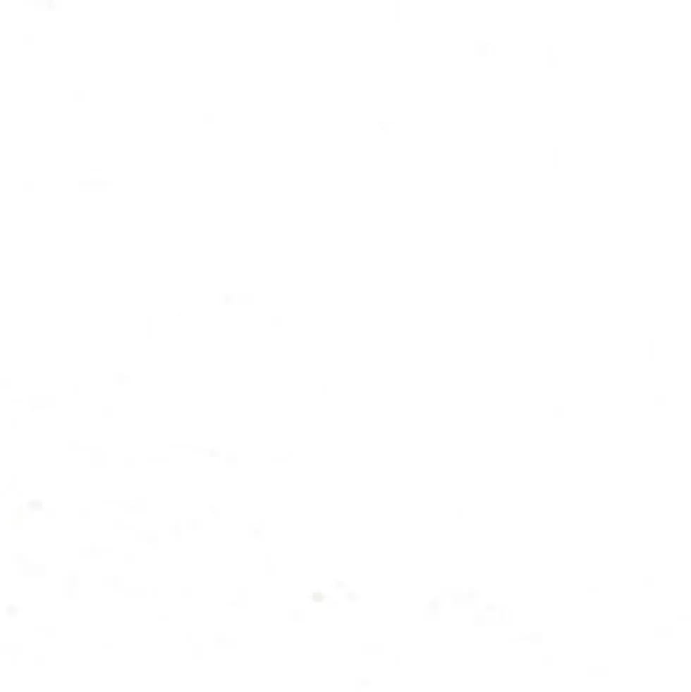 Gwasz Artists’ Gouache - Holbein - Zinc White, 60 ml