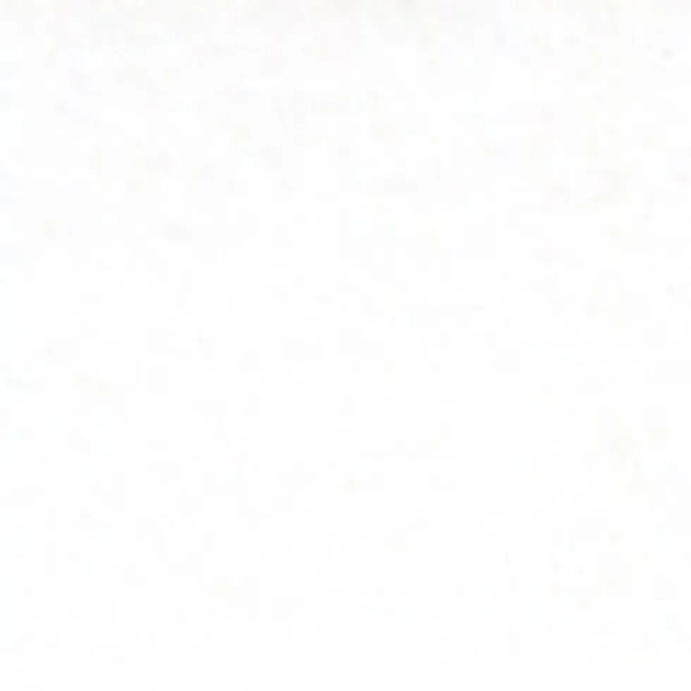 Gwasz Artists’ Gouache - Holbein - Zinc White, 15 ml