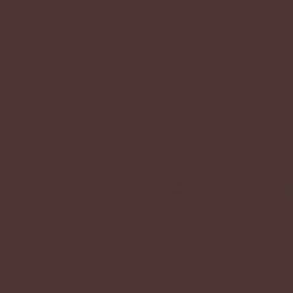 Gwasz Artists’ Gouache Irodori - Holbein - Bark Brown, 15 ml