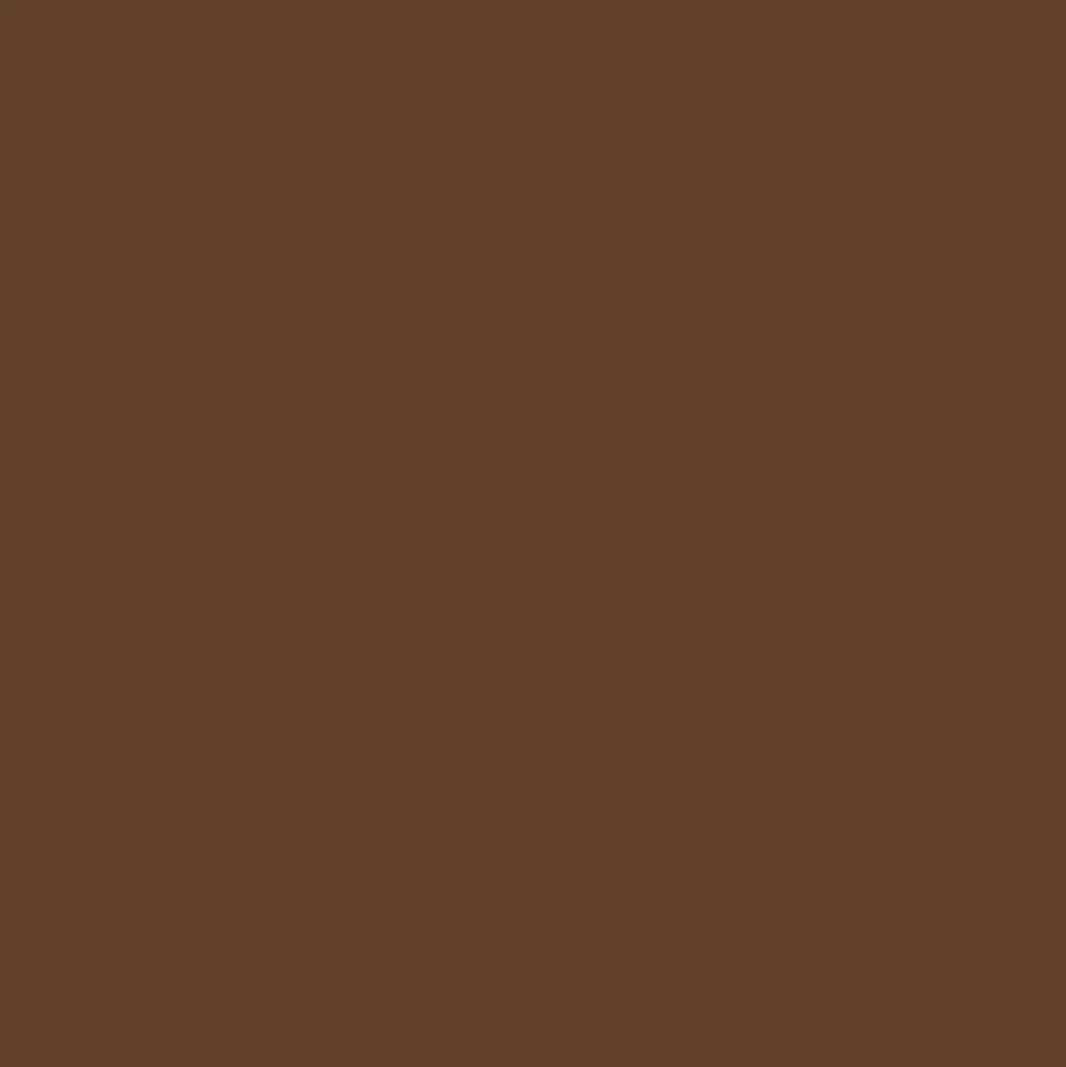 Gwasz Artists’ Gouache Irodori - Holbein - Dark Brown, 15 ml