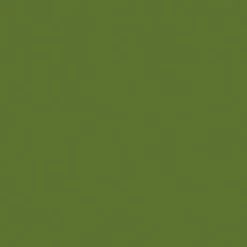 Gwasz Artists’ Gouache Irodori - Holbein - Elm Green, 15 ml