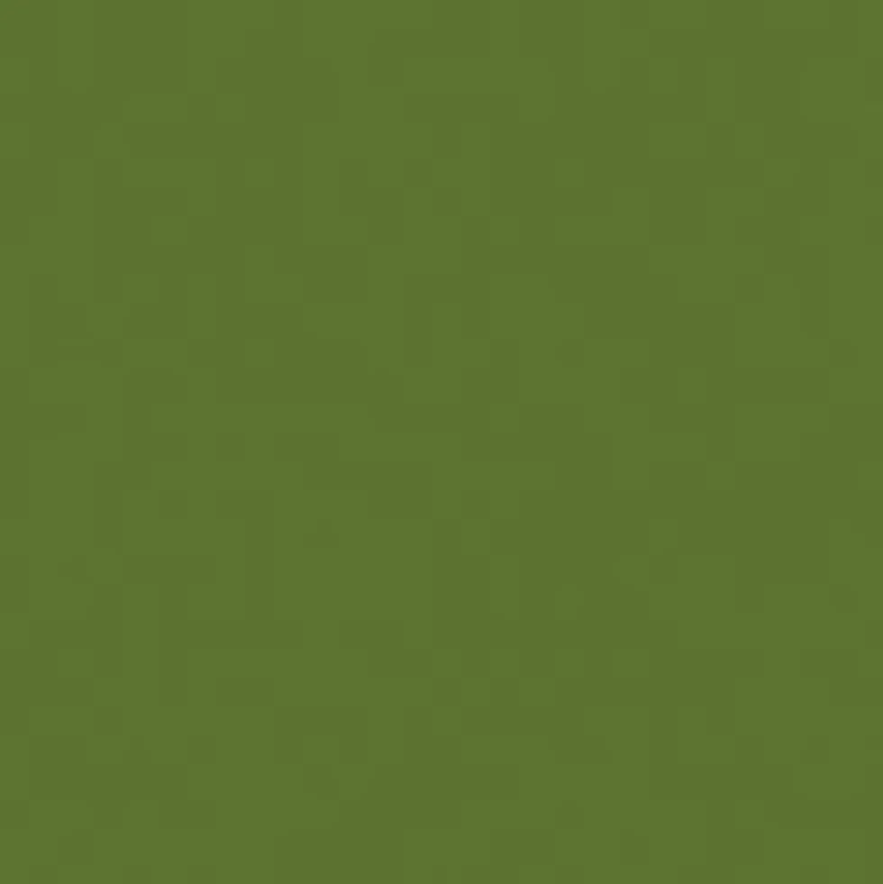Gwasz Artists’ Gouache Irodori - Holbein - Elm Green, 15 ml
