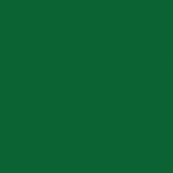 Gwasz Artists’ Gouache Irodori - Holbein - Leek Green, 15 ml