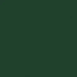 Gwasz Artists’ Gouache Irodori - Holbein - Pine Tree Green, 15 ml