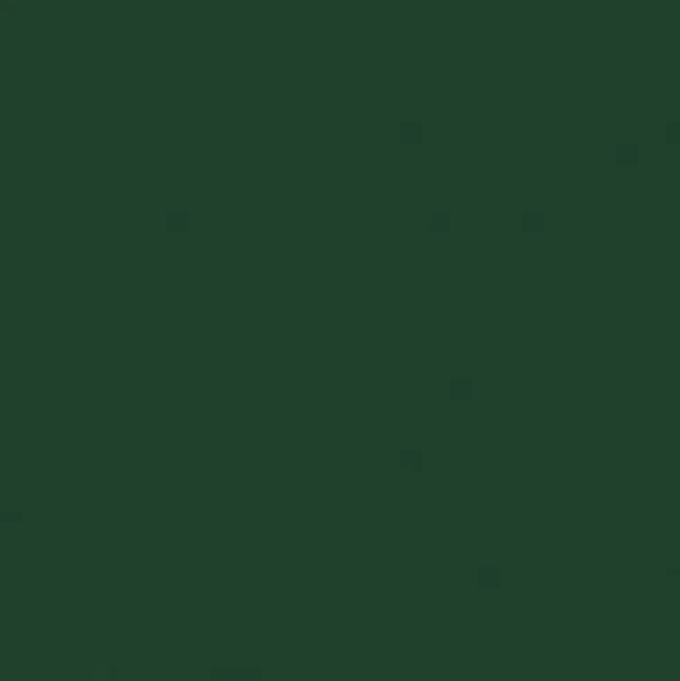Gwasz Artists’ Gouache Irodori - Holbein - Pine Tree Green, 15 ml