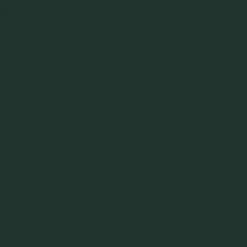 Gwasz Artists’ Gouache Irodori - Holbein - Russet Green, 15 ml