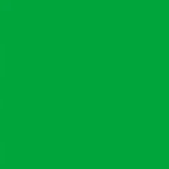Gwasz Artists’ Gouache Irodori - Holbein - Spring Green, 15 ml