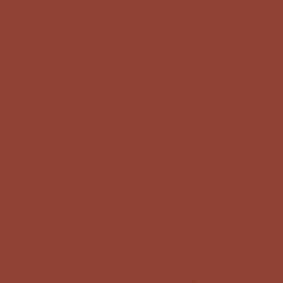 Gwasz Artists’ Gouache Irodori - Holbein - Taisha Brown, 15 ml