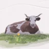 Kartka okolicznościowa A6 - Gmund - Cow Pasture